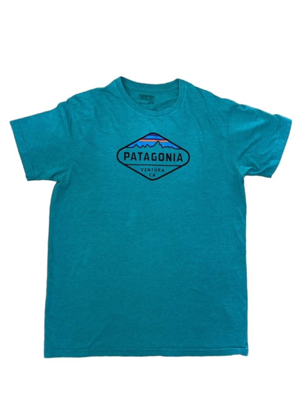 Patagonia Men’s Teal Blue Crew Neck Tee Slim Fit Organic Cotton/Poly Gorpcore L - Picture 2 of 7